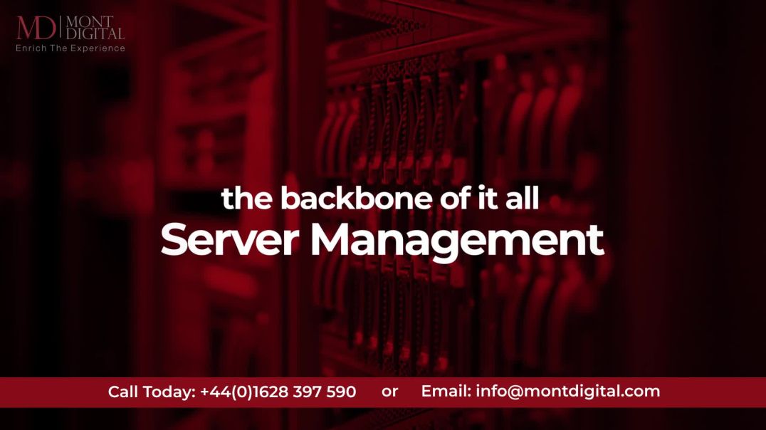 ⁣Server Management